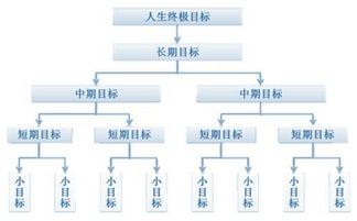 怎样平衡兴趣与学业