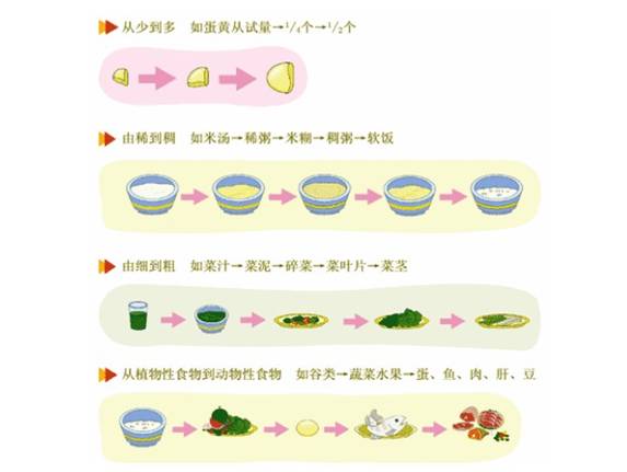 宝宝辅食的添加过程以及添加的量