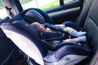 婴儿安全座椅安装在哪个位置