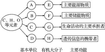 常见的家庭