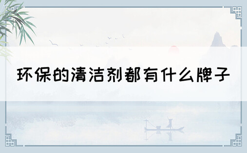 环保的清洁剂都有什么牌子